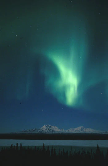 Northern Lights - Flower Essence