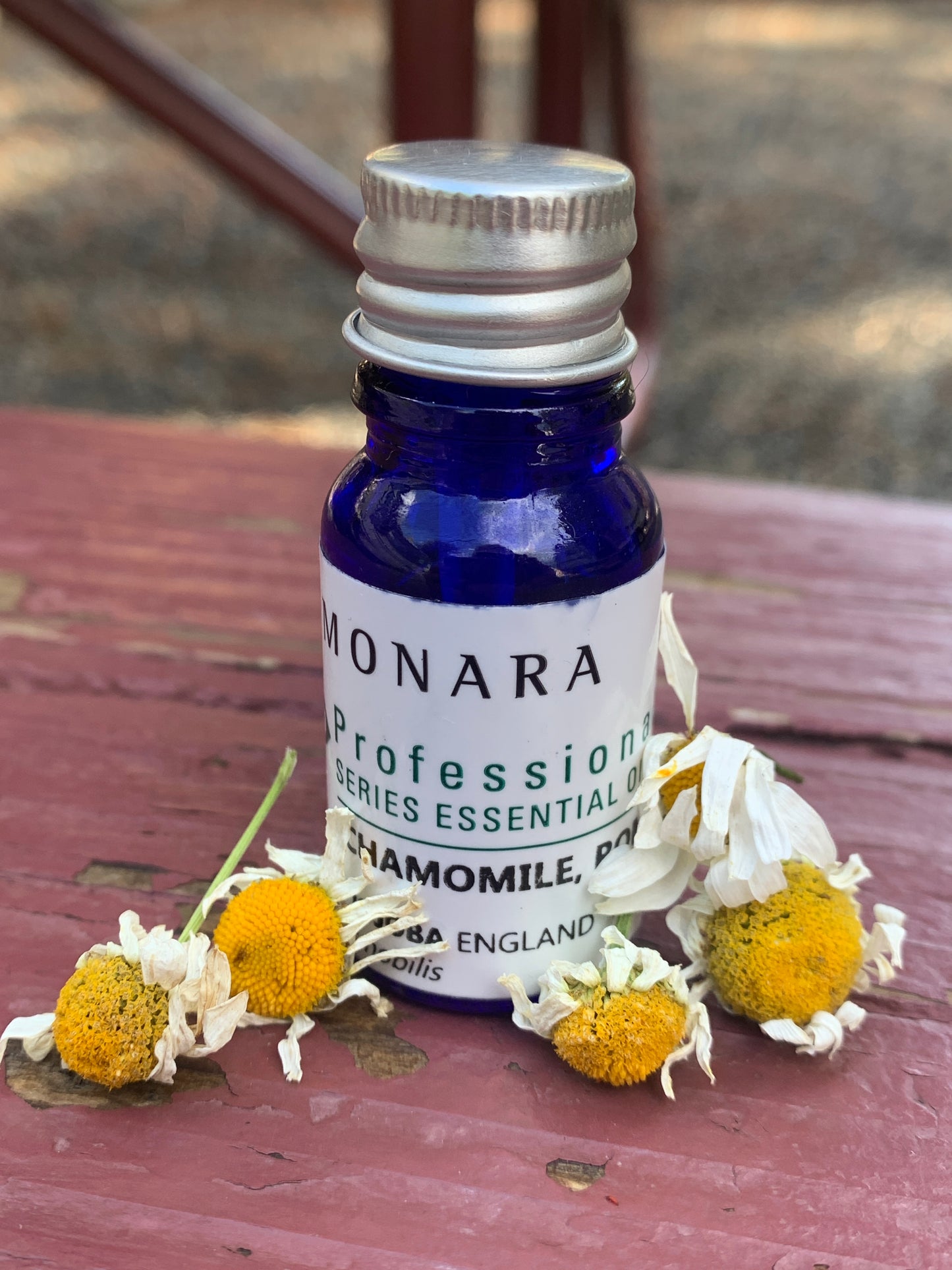 Chamomile, Roman - 10 ml