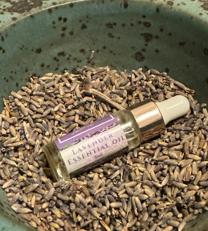 Lavender Essential Oil