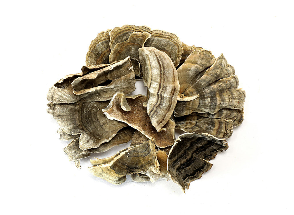 Turkey Tail Mushroom - 1 oz